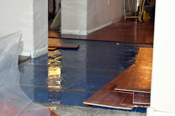 Professional Water Damage Restoration technician working in Wildwood, FL